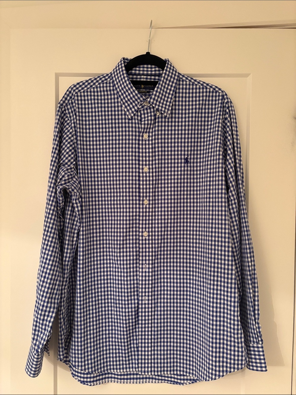 Polo by Ralph Lauren Blue & White Check Button-Down Shirt